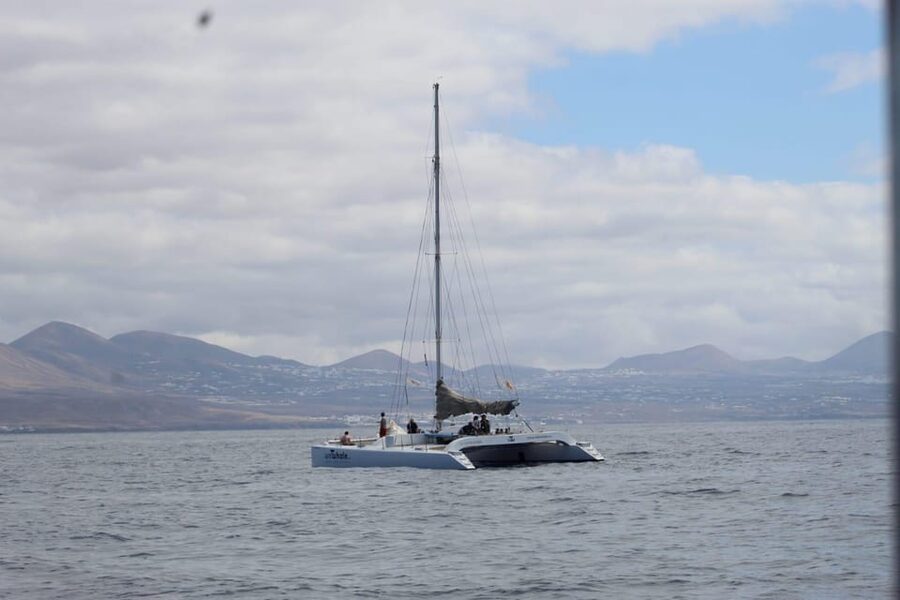 Lanzarote: Whale and Dolphin Watching Eco-Friendly Catamaran - Setting Off From Marina Puerto Calero’s Pontoon F22