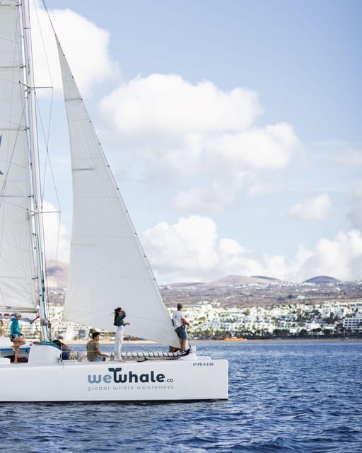 Lanzarote: Whale and Dolphin Watching Eco-Friendly Catamaran - Quick Logistics: How to Plan Your Time in Lanzarote