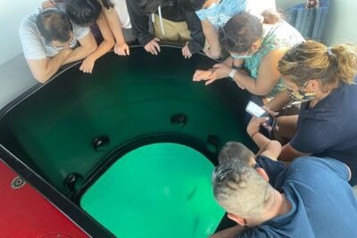 Long Beach Glass Bottom Boat Eco-Tour - How the 1-hour eco-tour actually feels on the water