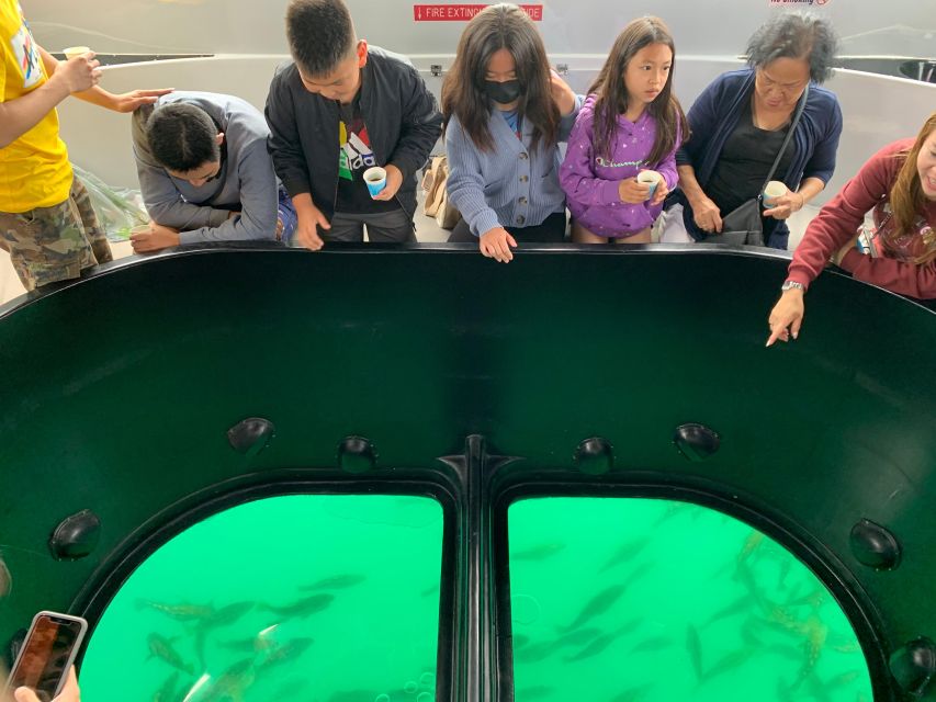 Long Beach: Glass Bottom Boat Harbor Ecotour - A one-hour ecotour that fits real life (and real families)