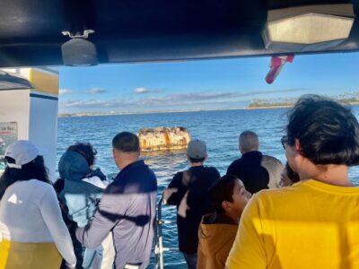 Long Beach: Glass Bottom Boat Harbor Ecotour - Finding your way to Dock 7 at 401 Shoreline Drive