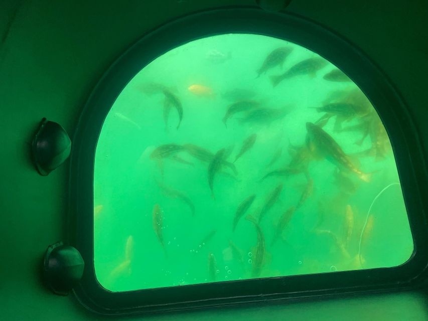 Long Beach: Glass Bottom Boat Harbor Ecotour - What the guide actually does: education that doesn’t slow you down