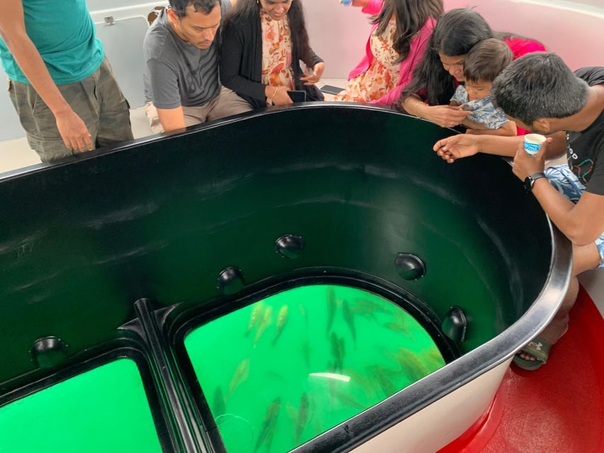 Long Beach: Glass Bottom Boat Harbor Ecotour - Timing and duration: why 1 hour can be the smart choice