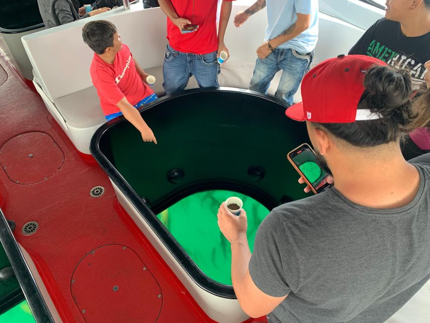 Long Beach: Glass Bottom Boat Harbor Ecotour - Who this tour is best for (and who might feel underwhelmed)