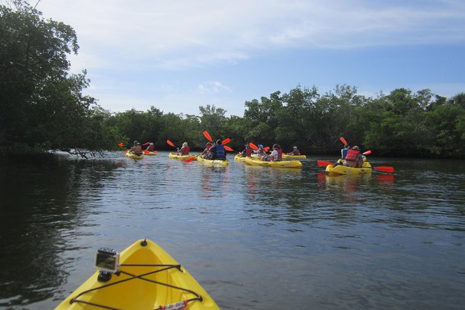 Lovers Key Guided Eco Tour-Mangrove Estuary - Guides like Karen and Stephen: why the small group pays off