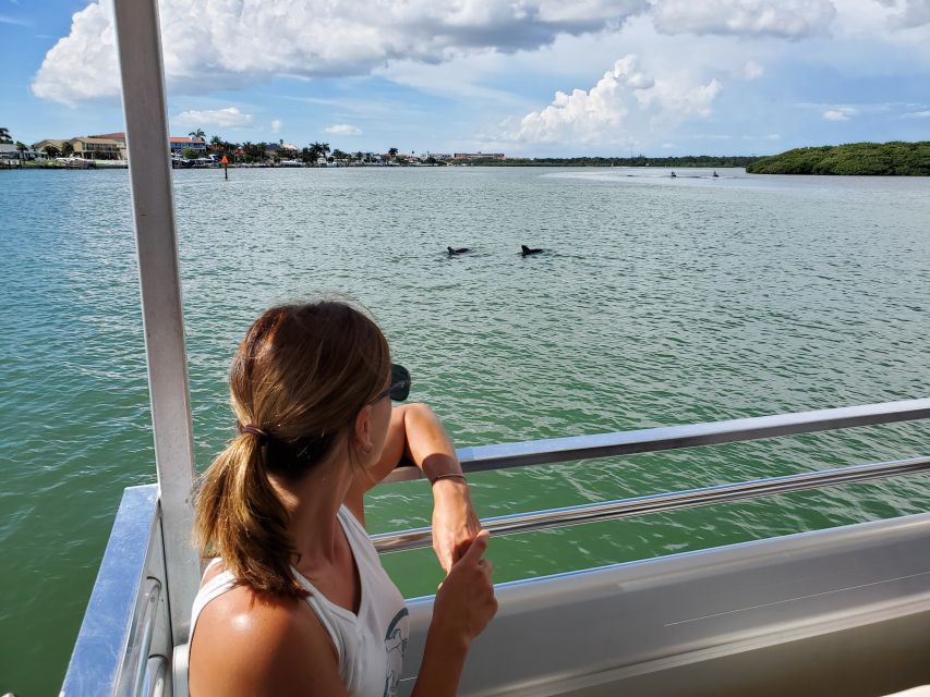 Madeira Beach: Guided Dolphin Watching Eco-Friendly Cruise - The Boat Comfort You’ll Notice More Than You Think
