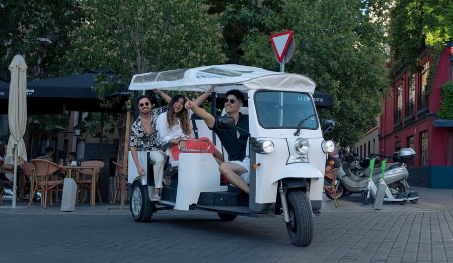 Madrid: Eco-Friendly, Private, and Unique Tuk Tuk Experience - Why the Electric Tuk Tuk Works Better Than a Bus in Madrid