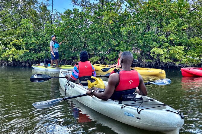 Mangrove Tunnel Kayak Eco Tour - West Lake Park mangrove tunnels: why this area is worth the trip
