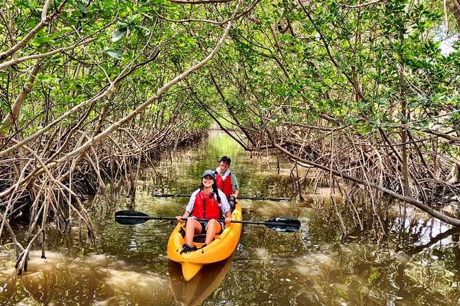 Mangrove Tunnel Kayak Eco Tour - Floating through the mangrove maze: wildlife spotting in tight spaces