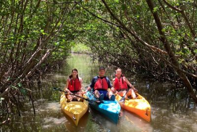 Mangrove Tunnel Kayak Eco Tour - The start: safety briefing, paddle practice, then you’re off