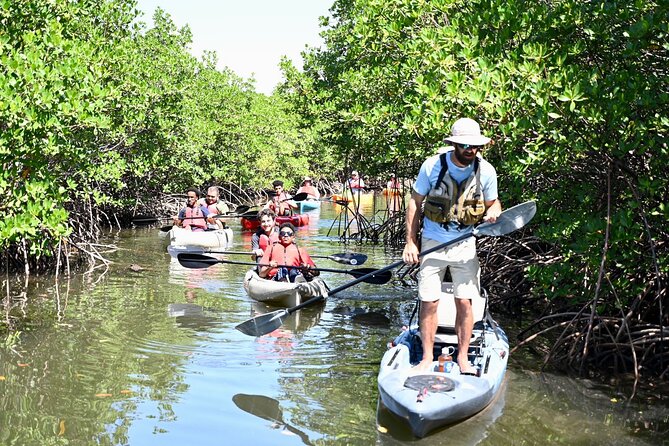 Mangrove Tunnel Kayak Eco Tour - Group size, pacing, and why the tour feels personal
