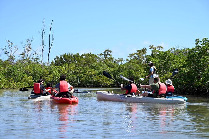 Mangrove Tunnel Kayak Eco Tour - Meeting point and timing: where you start and how to plan your day