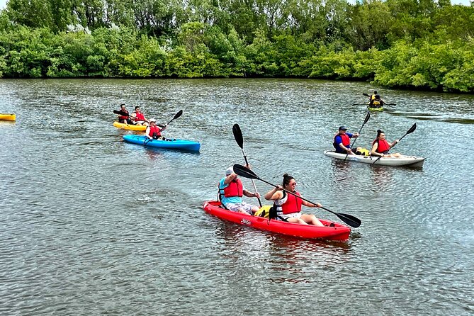 Mangrove Tunnel Kayak Eco Tour - Who should book this kayak eco tour (and who should skip it)