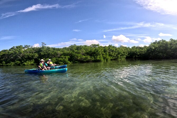 Mangrove Tunnels Pedal Kayak Eco-Tour in Anna Maria - Your guide’s role: safety first, plus real-world nature pointers