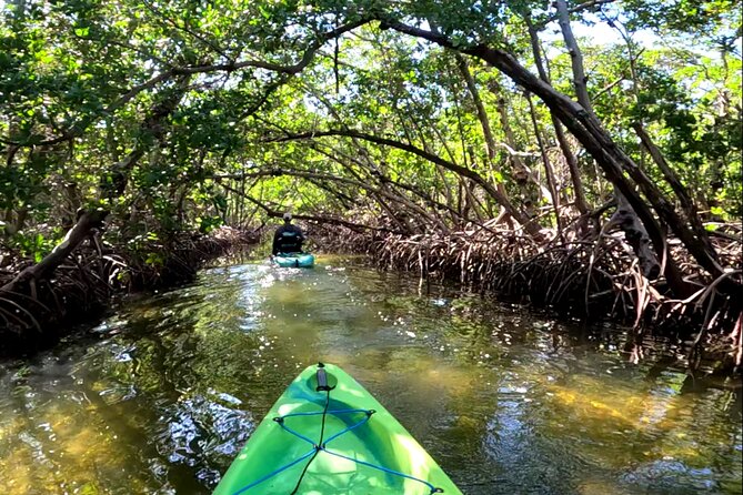 Mangrove Tunnels Pedal Kayak Eco-Tour in Anna Maria - Gear included: what you don’t have to carry