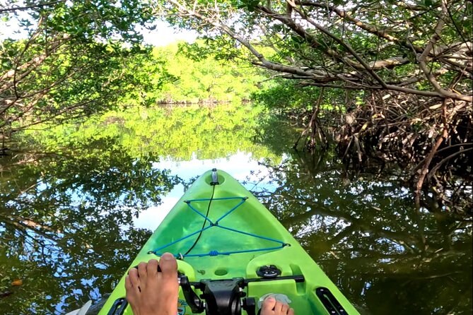 Mangrove Tunnels Pedal Kayak Eco-Tour in Anna Maria - Weather and timing: when you should plan your visit