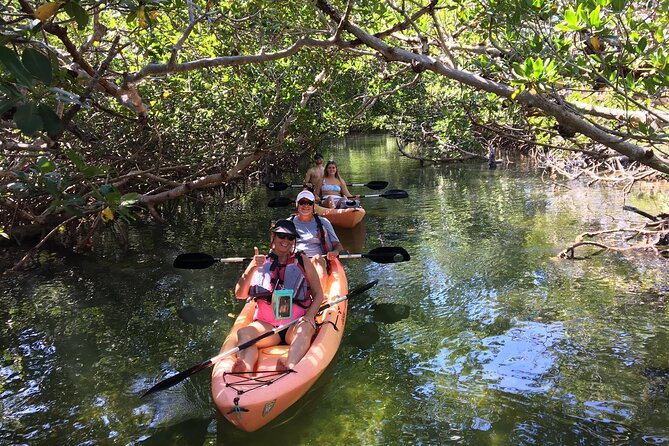 Mangroves and Manatees - Guided Kayak Eco Tour - Key Things I’d Mark Before You Book