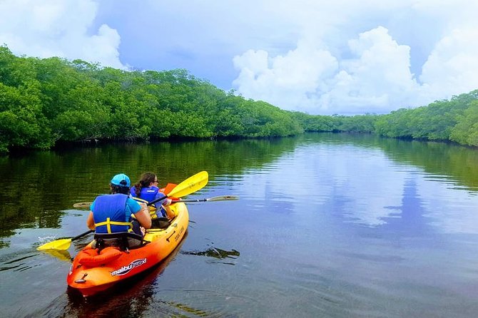 Mangroves and Manatees - Guided Kayak Eco Tour - Mangrove Kayaking in Tavernier Creek: Why This Area Works