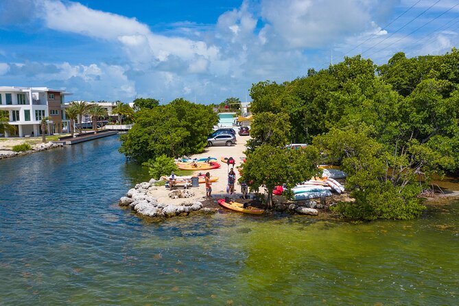 Mangroves and Manatees - Guided Kayak Eco Tour - Wildlife Viewing: Manatees, Rays, Turtles, Dolphins, and More