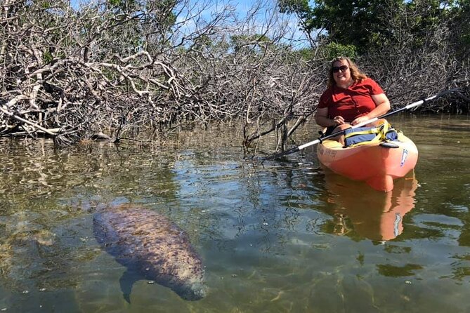 Mangroves and Manatees - Guided Kayak Eco Tour - Single vs. Double Kayak: Picking the Right Fit