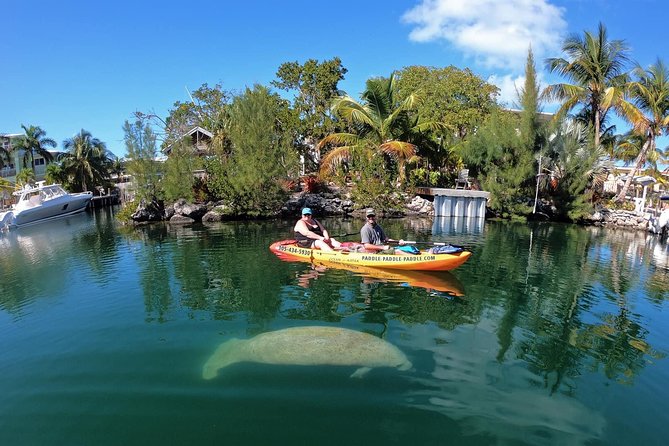 Mangroves and Manatees - Guided Kayak Eco Tour - The 2-Hour Paddle: What the Timing Feels Like on the Water