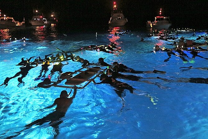 Manta Magic: Small-Group Manta Ray Night Snorkel in Kailua Kona - Key Points That Make Manta Magic Special