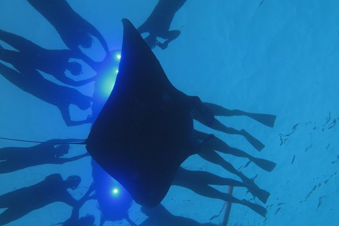 Manta Magic: Small-Group Manta Ray Night Snorkel in Kailua Kona - Gear and Comfort in Kona: What’s Provided and What to Bring
