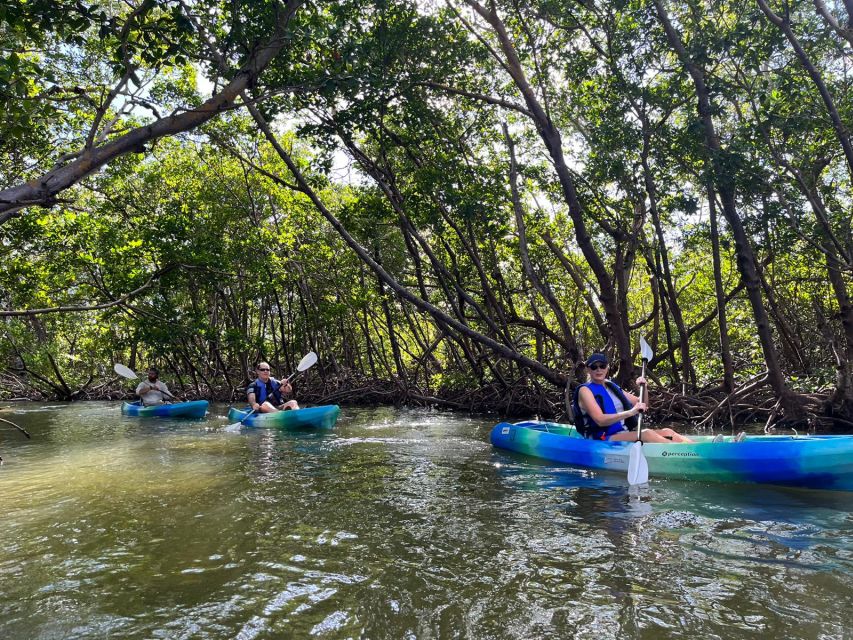 Marco Island: Kayak Mangrove Ecotour in Rookery Bay Reserve - Price and Value: Is $85 Worth It?