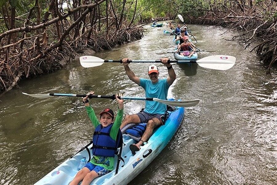 Marco Island: Kayak Mangrove Ecotour in Rookery Bay Reserve - Meeting Point and Logistics That Keep the Day Simple
