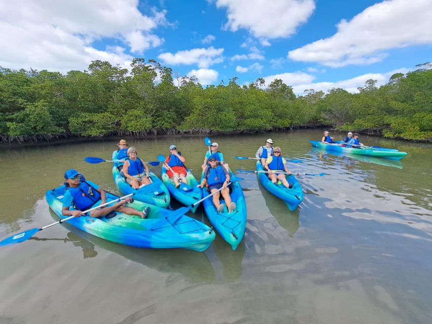 Marco Island: Kayak Mangrove Ecotour in Rookery Bay Reserve - Who This Tour Suits Best (And Who Might Want Another Option)