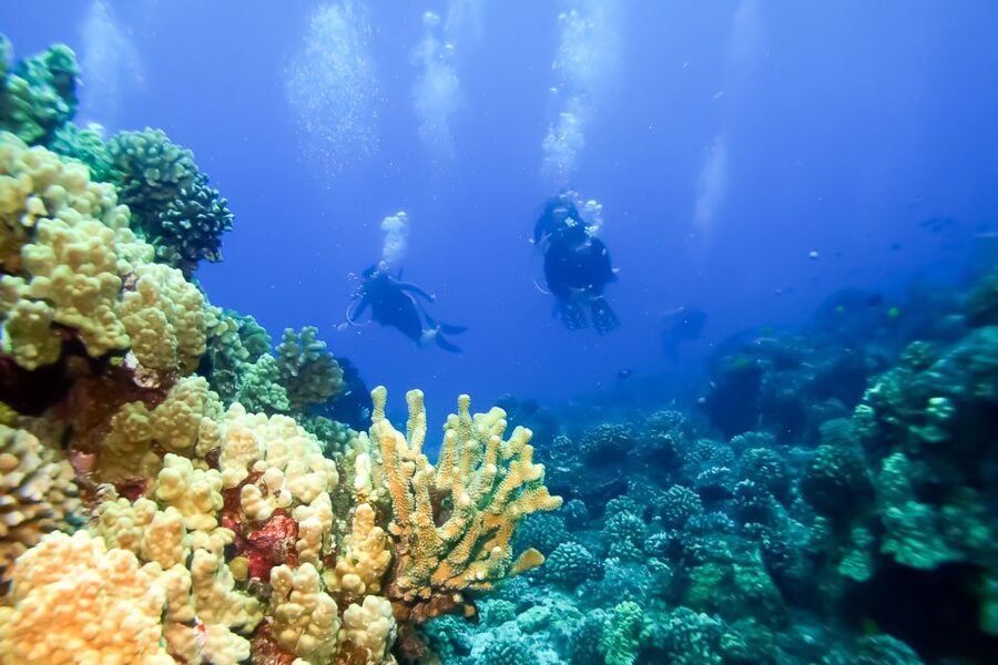 Maui: Eco-Friendly Molokini & Turtle Town Tour with Meals - Price check: is $199 per person good value?