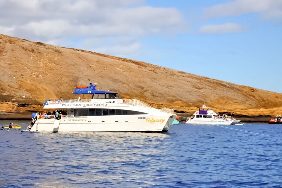 Maui: Eco-Friendly Molokini & Turtle Town Tour with Meals - Turtle Arches: lava formations, turtle odds, and other reef stars