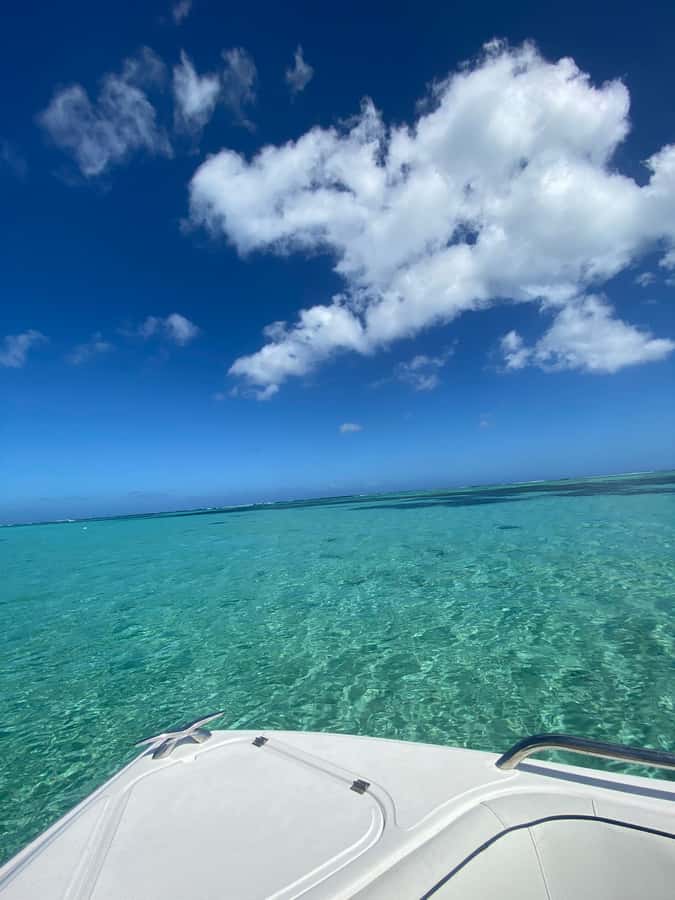 Mauritius Le Morne: Eco-Friendly Dolphin Watching Tour - Getting there: Emba Filao meeting point, no hotel pickup