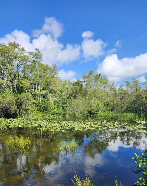 Miami: Everglades Airboat Eco Tour w/ Luxury Transportation - Why this Everglades day feels different than the usual rush