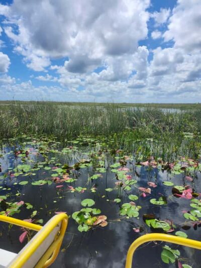 Miami: Everglades Airboat Eco Tour w/ Luxury Transportation - Premium SUV pickup: comfort, Wi-Fi, and real ease from Miami