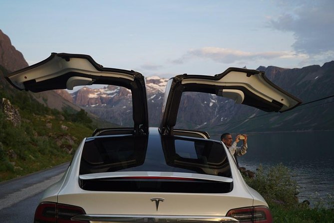 Midnightsun- Eco friendly Tesla Model X - Price and Value: Is $228.45 Worth It?
