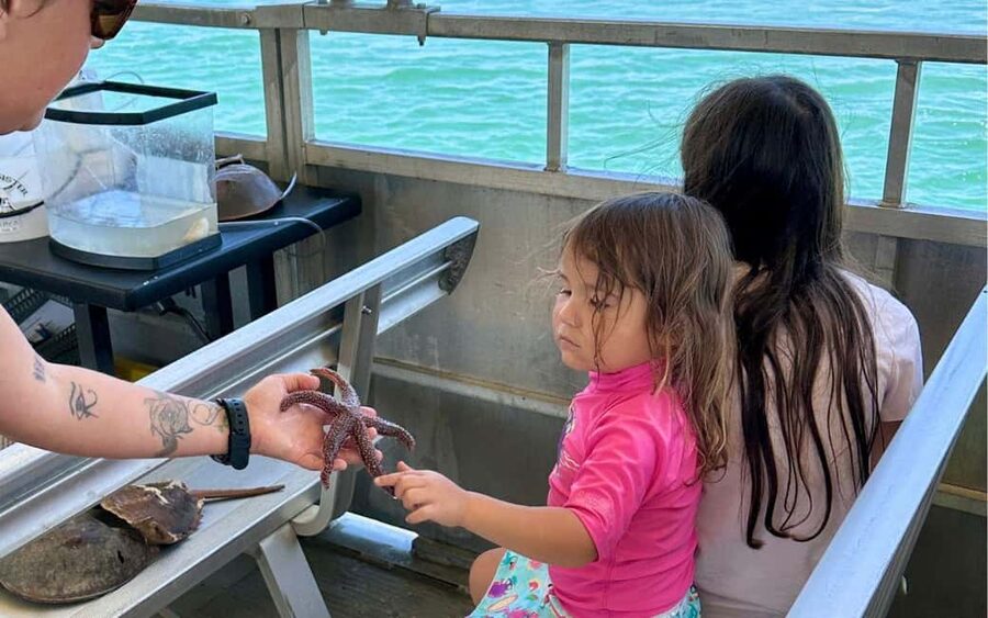 Murrells Inlet: Saltwater Marsh Eco Tour w/ Marine Biologist - Getting your money’s worth: value for $32