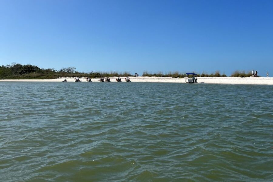 Naples, FL: Manatee, Dolphin, 10,000 Islands Beach Eco Tour - Price and value at $129: what you’re really paying for