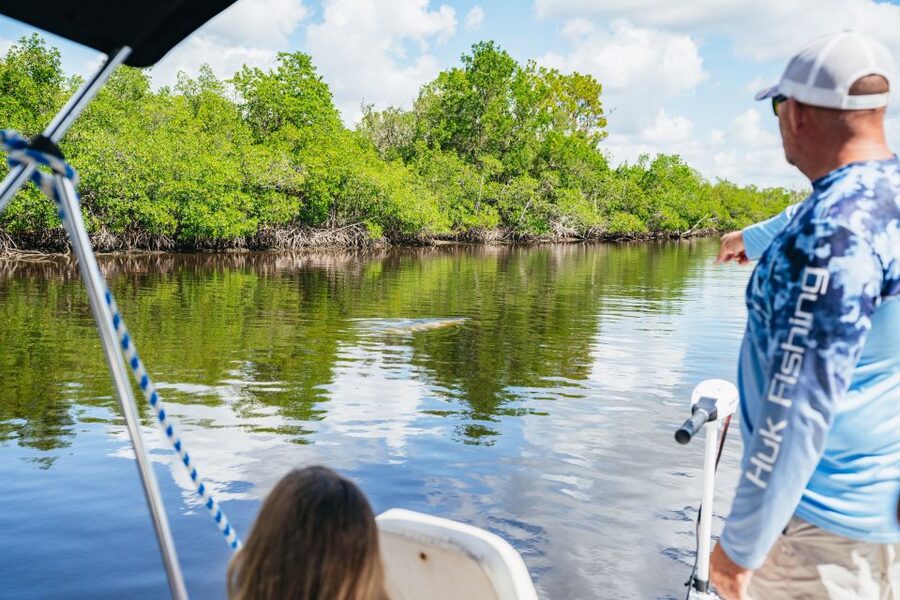 Naples, FL: Manatee, Dolphin, 10,000 Islands Beach Eco Tour - Who this tour fits best, and who should think twice