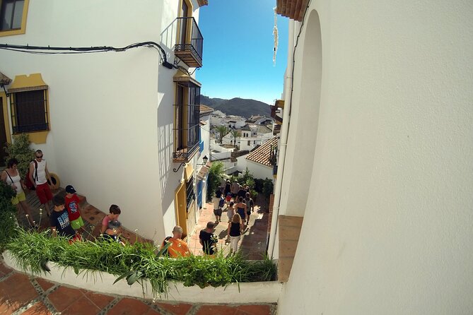 Natural Parck Jeep Eco Tour from Costa del Sol - Group size, guides, and the language you can expect