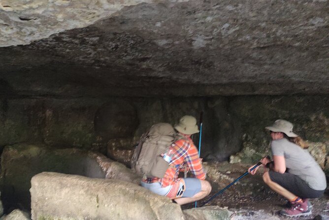 Nature Reserve ,Trekking Eco Tour in Iblei National Park - Price and value: what you’re paying for at $155.42