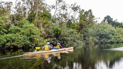 Noosa Everglades: Truly Sustainable Guided KAYAK Tour - Sustainability You Can Actually Feel in the Day’s Choices