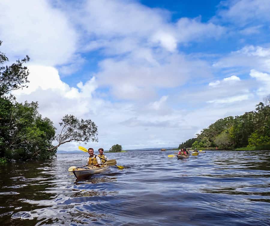 Noosa Everglades: Truly Sustainable Self Guided KAYAK Tour - Key Things That Make This Noosa Everglades Kayak Tour Worth It