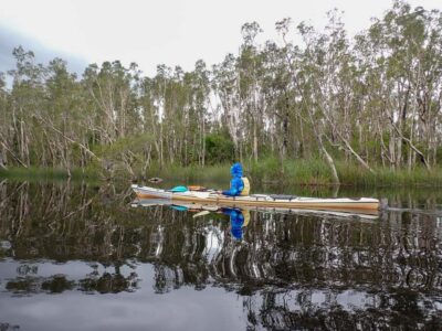 Noosa Everglades: Truly Sustainable Self Guided KAYAK Tour - The Sustainable Setup: Handcrafted Kayaks and Koala Crusaders