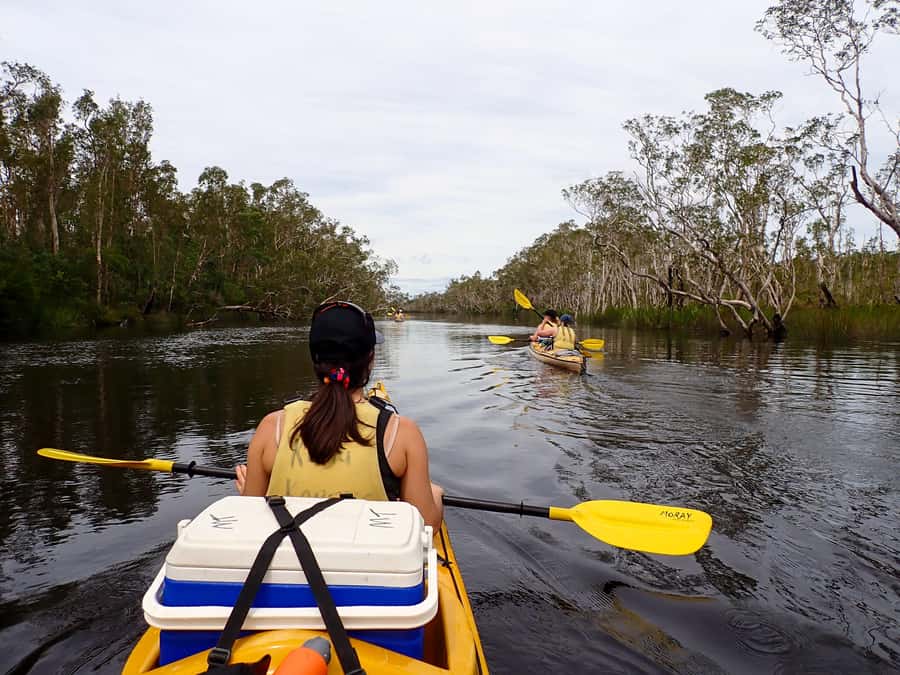 Noosa Everglades: Truly Sustainable Self Guided KAYAK Tour - Tannin-Coloured Water and Swim Time: What to Expect
