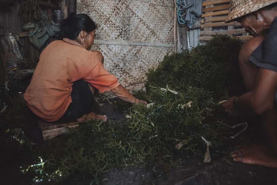 Nusa Penida: Ecotourism, Seaweed Farming & East Tour - Why East Nusa Penida Feels Different Than the Usual Bali Excursions