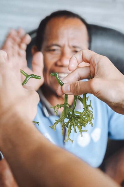 Nusa Penida: Ecotourism, Seaweed Farming & East Tour - Conservation Work You Can Understand: Coral Recovery and Algae Prep