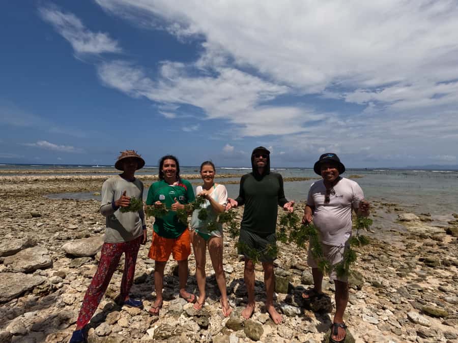 Nusa Penida: Ecotourism, Seaweed Farming & East Tour - Who This Tour Suits Best (And Who Might Skip It)