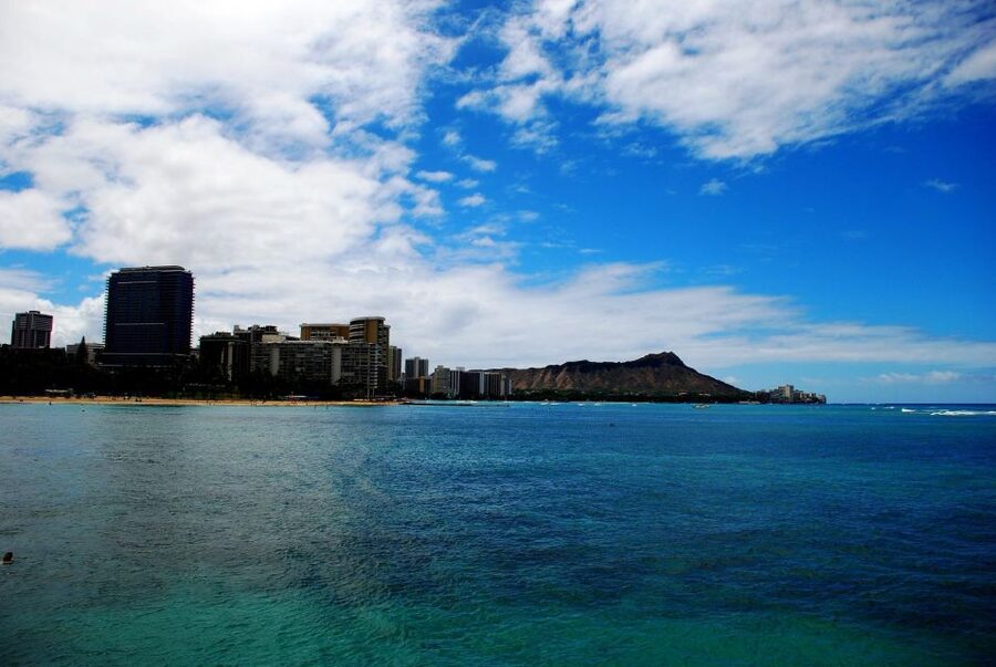 Oahu: Waikiki Eco-Friendly Afternoon Whale Watching Trip - A 90-minute Waikiki sail with a whale-spotting mission