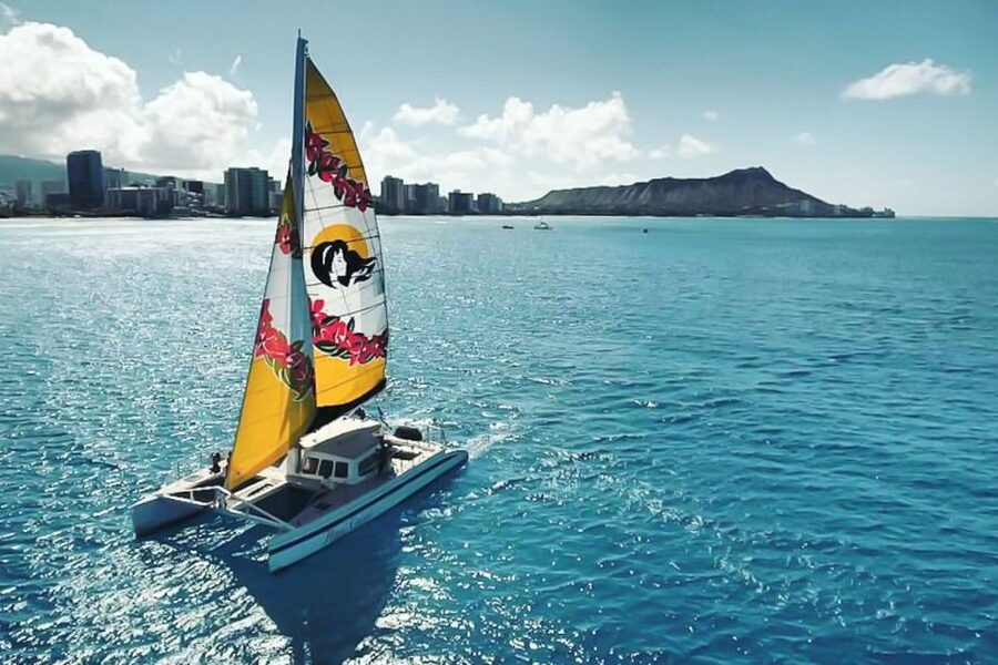 Oahu: Waikiki Eco-Friendly Morning Whale Watching Cruise - Waikiki Humpback Whales: When You’re Most Likely to See Them